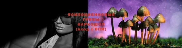 прущая мука Баксан