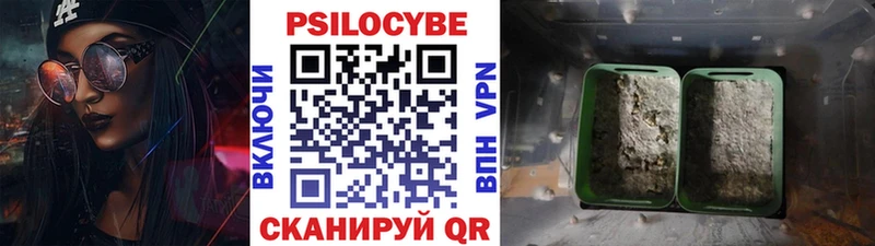 Галлюциногенные грибы MAGIC MUSHROOMS  купить наркотики сайты  Похвистнево 
